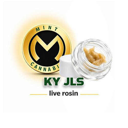 Mint Platinum Cold Cure Live Rosin 1g - KY JLS