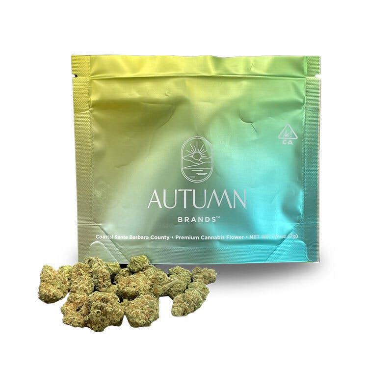 Autumn Brands: Sour Power #69