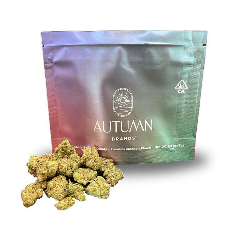 Purple Carbonite - 7g Pouch by Autumn Brands