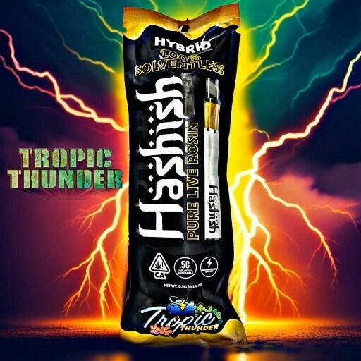 Hashish | SLR AIO .5g | H | Grape Spritz