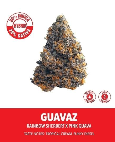 Preferred Gardens | Flower 14g | S | Apricotz
