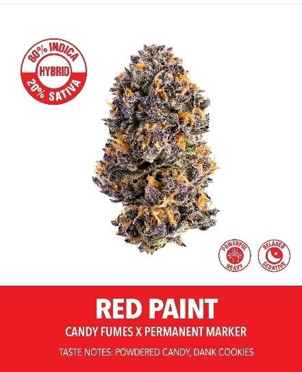 Lights Out | Big Buds Jar | 3.5g by Preferred Gardens