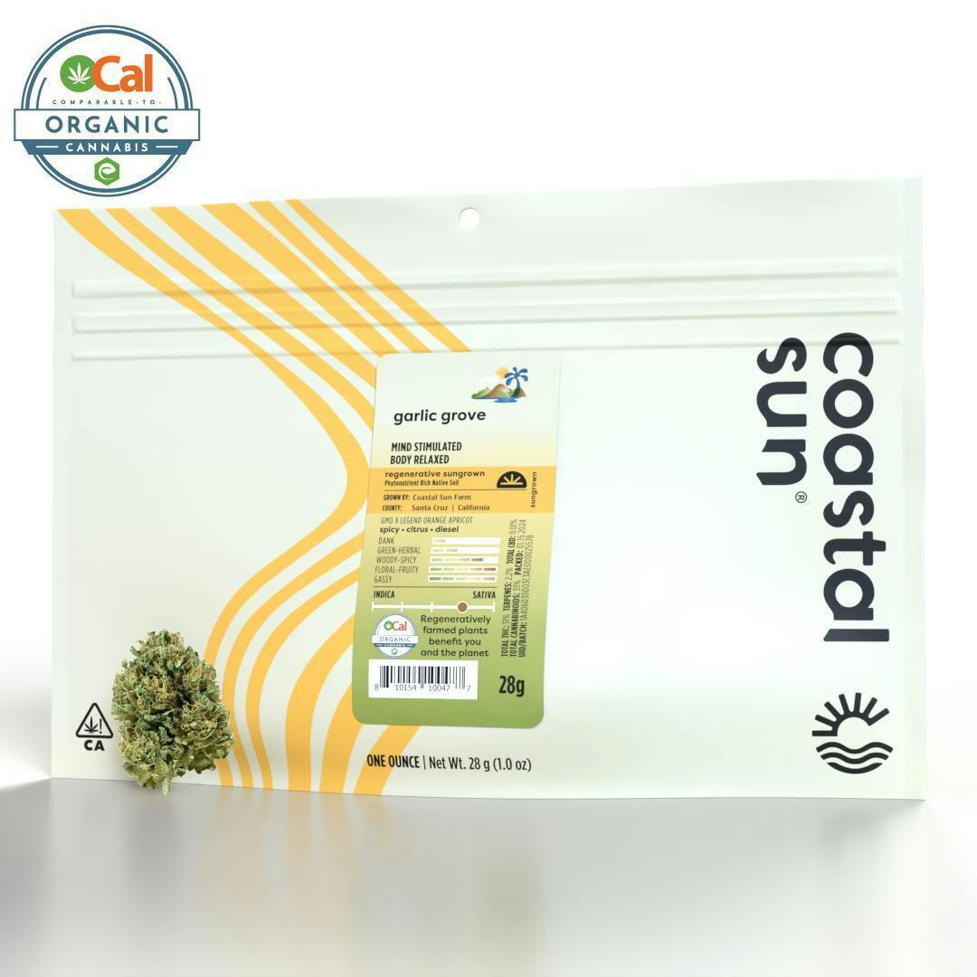 Coastal Sun | Flower 28g | H | White Runtz