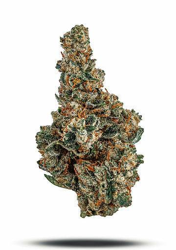 Glass Meadows - Super Lemon Haze Small Buds - Flower