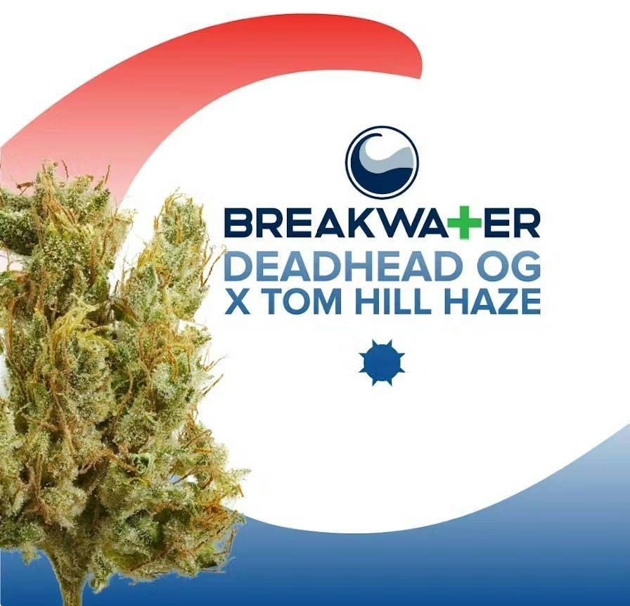 Breakwater - Deadhead OG x Tom Hill Haze - Flower