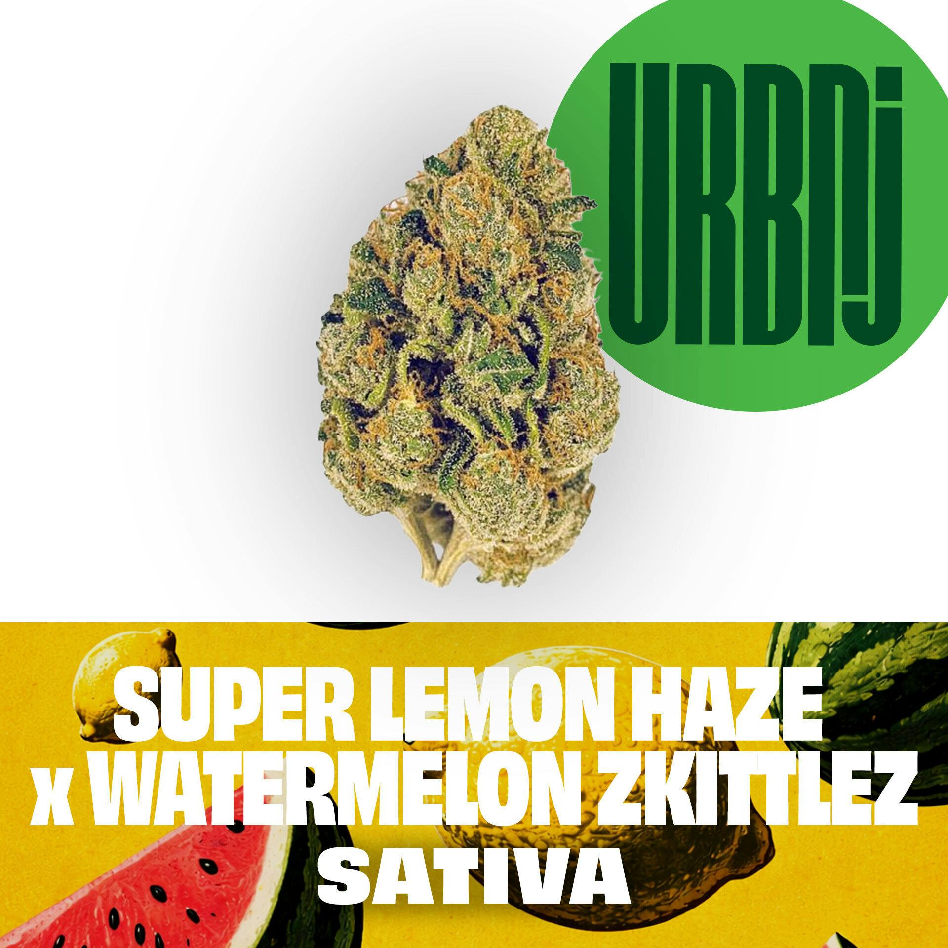 URBNJ - Super Lemon Haze x Watermelon Zkittles- Flower