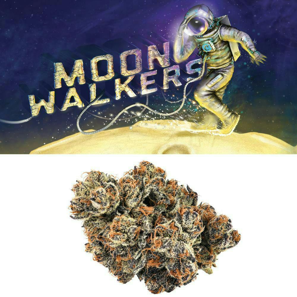 Cookies - Moonwalkers - Flower