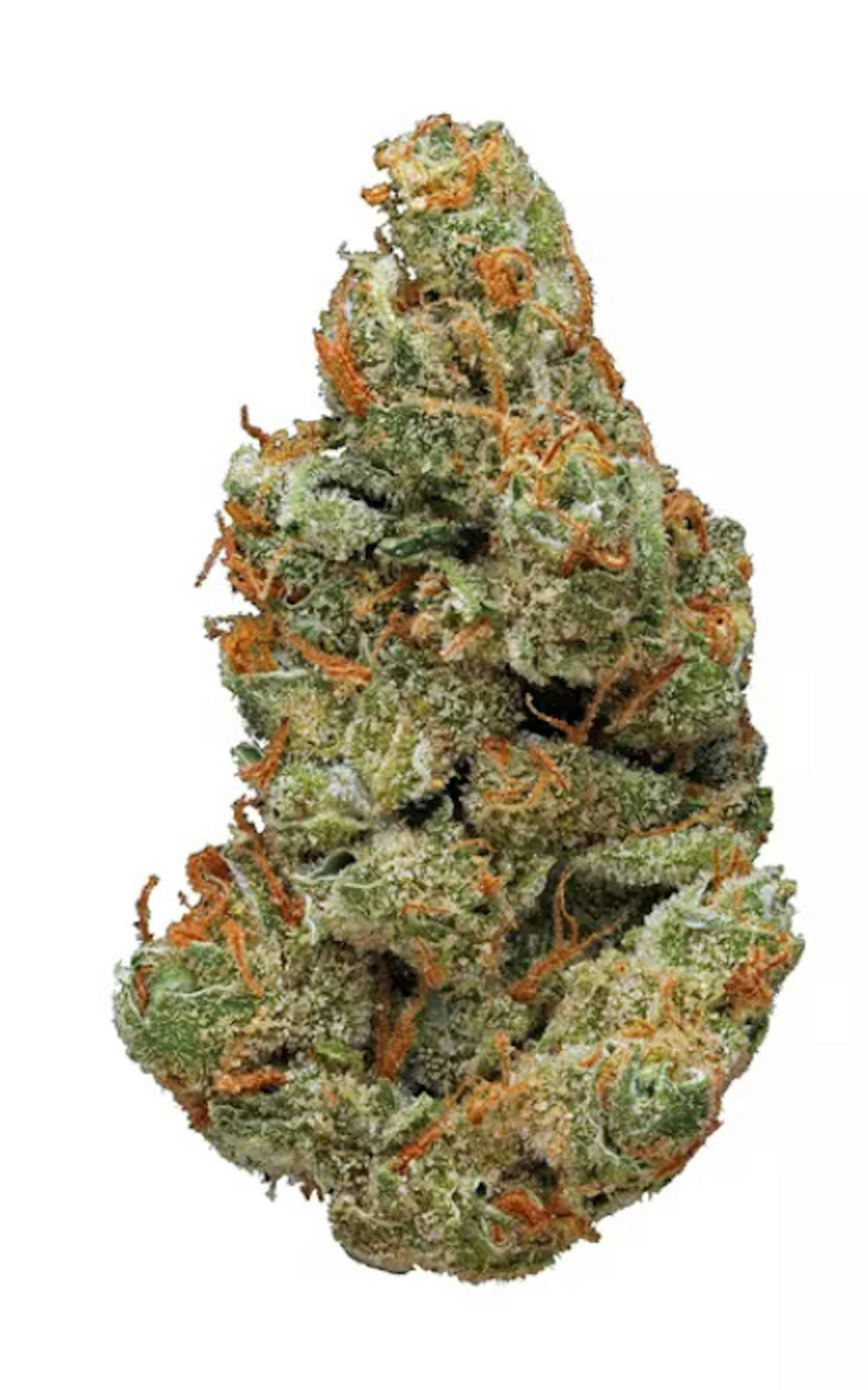 Fresh - Skunk Dawg