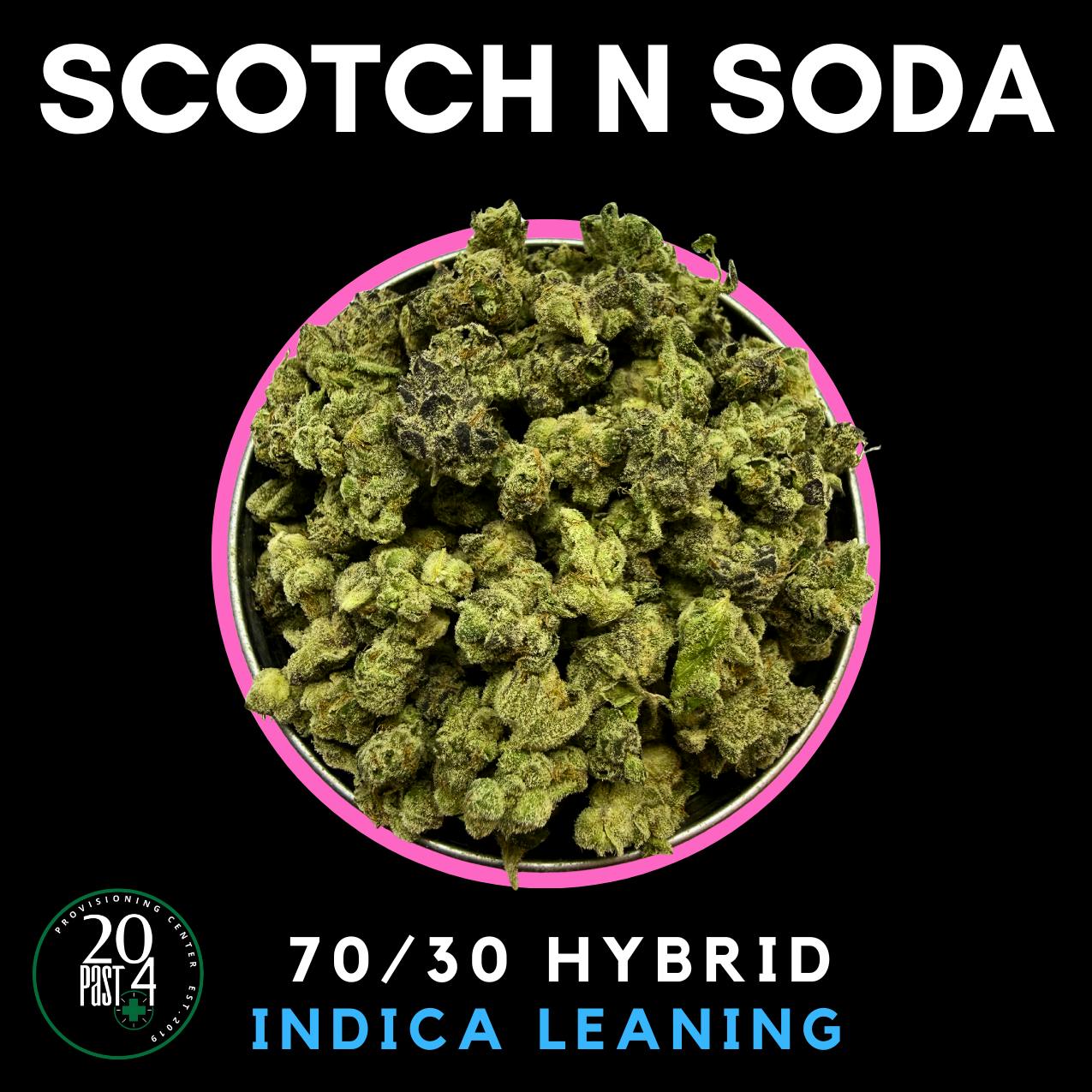 LA HAZE | SCOTCH & SODA | DELI FLOWER - HYBRID/INDICA