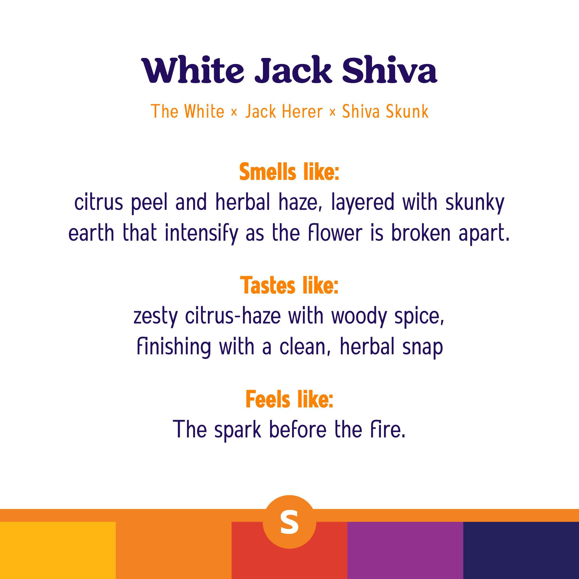 White Jack Shiva Pre-Roll