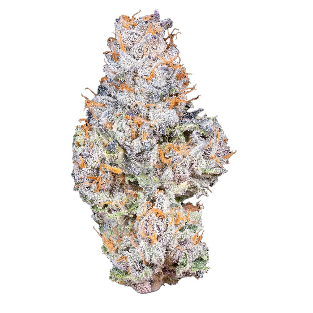 Gelato 41 Flower