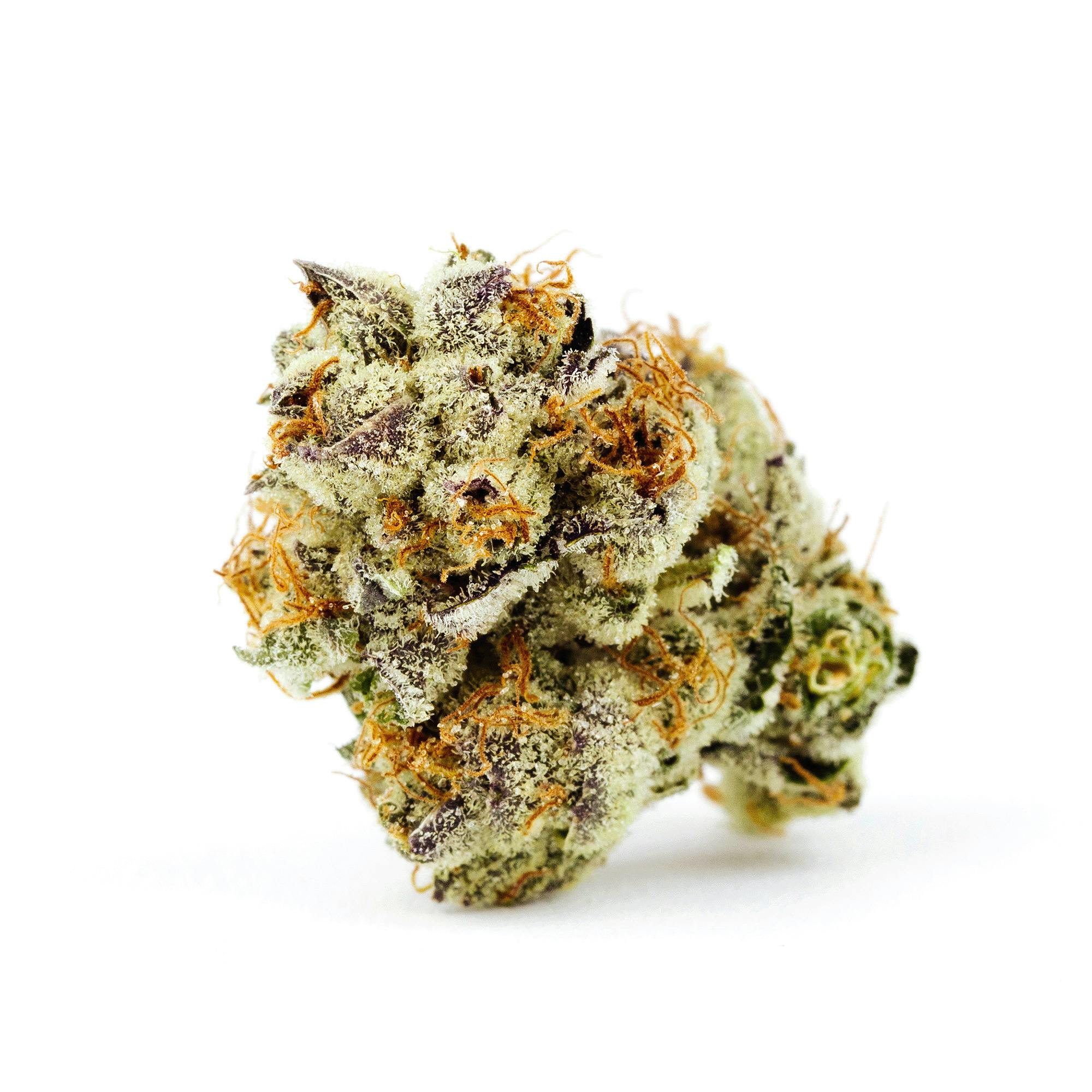 GMO Smalls