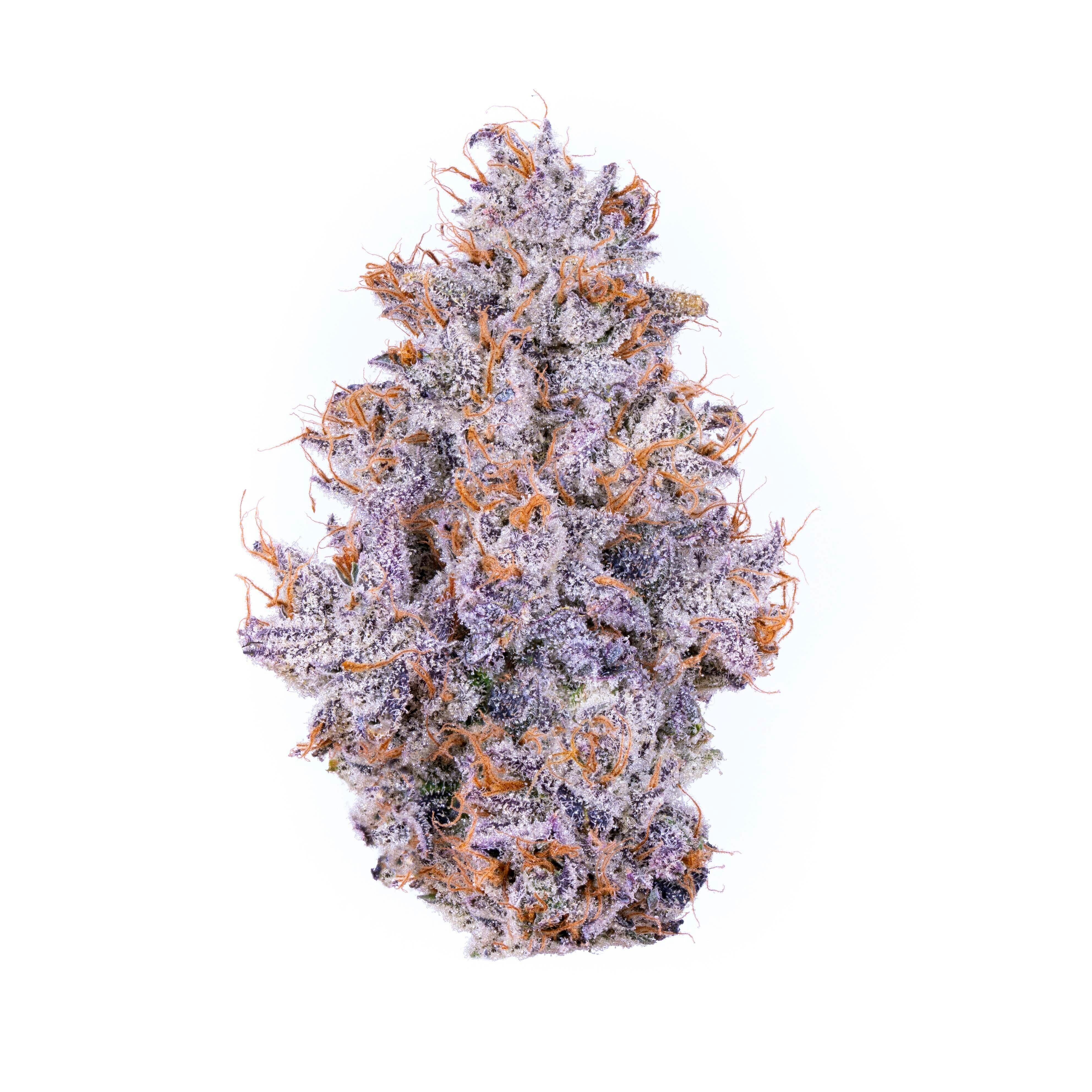 Biskante Flower