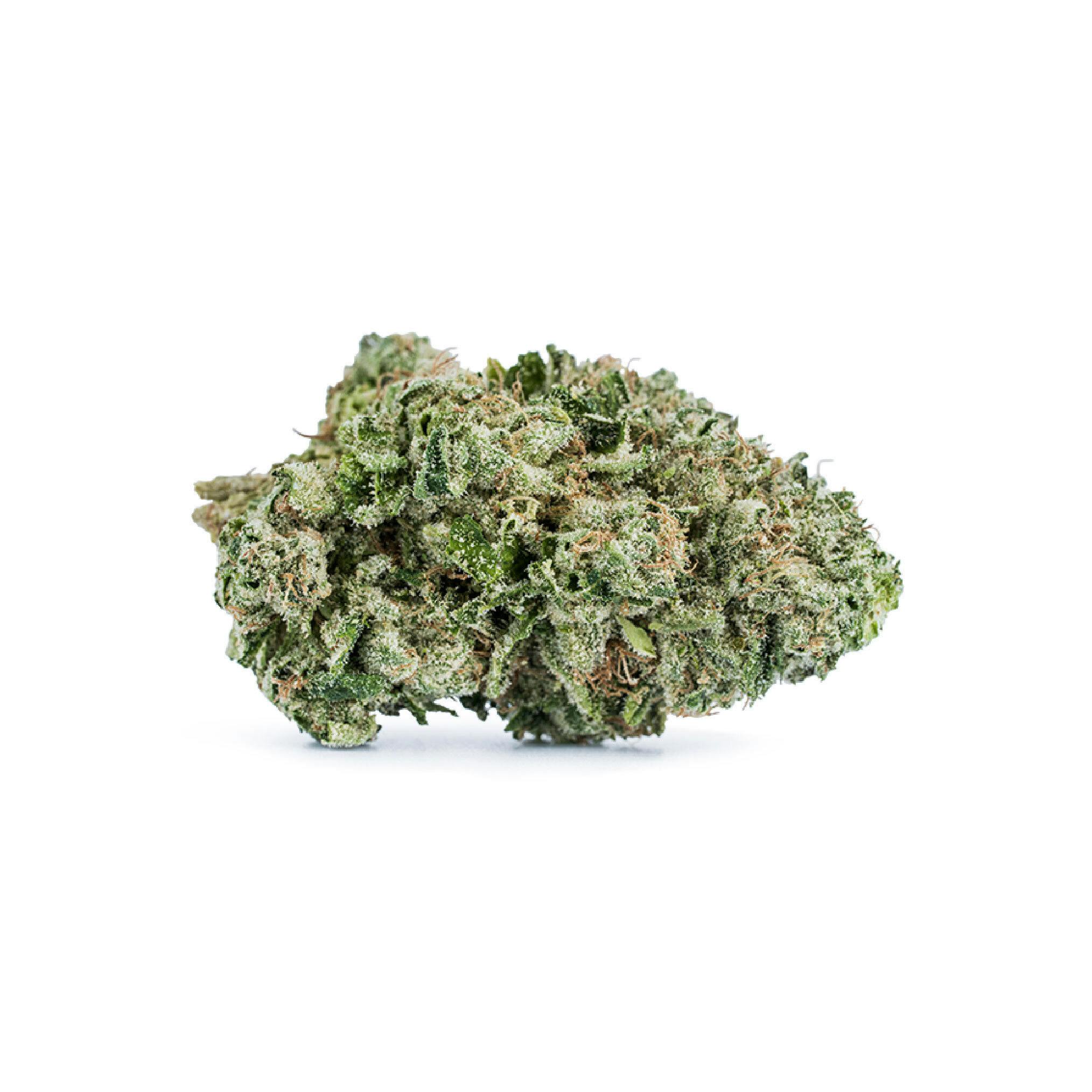 JerryBob Flower - 1378307