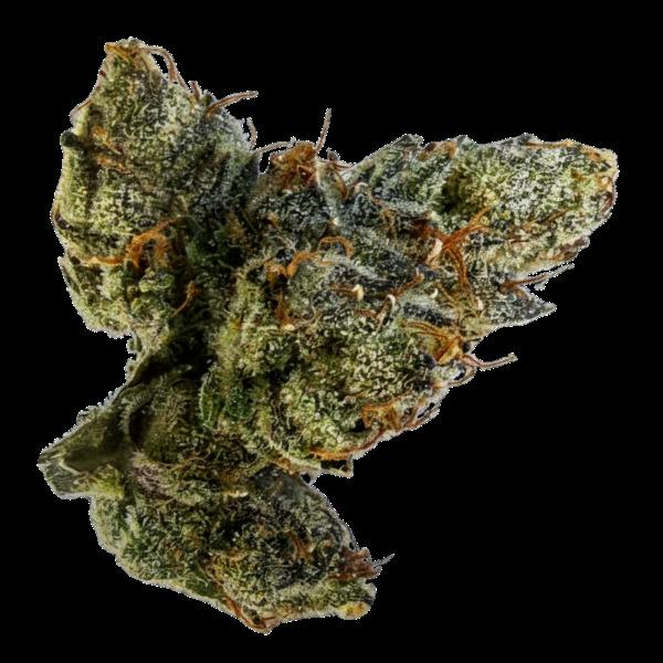Bama RZ Premium Flower cannabis product