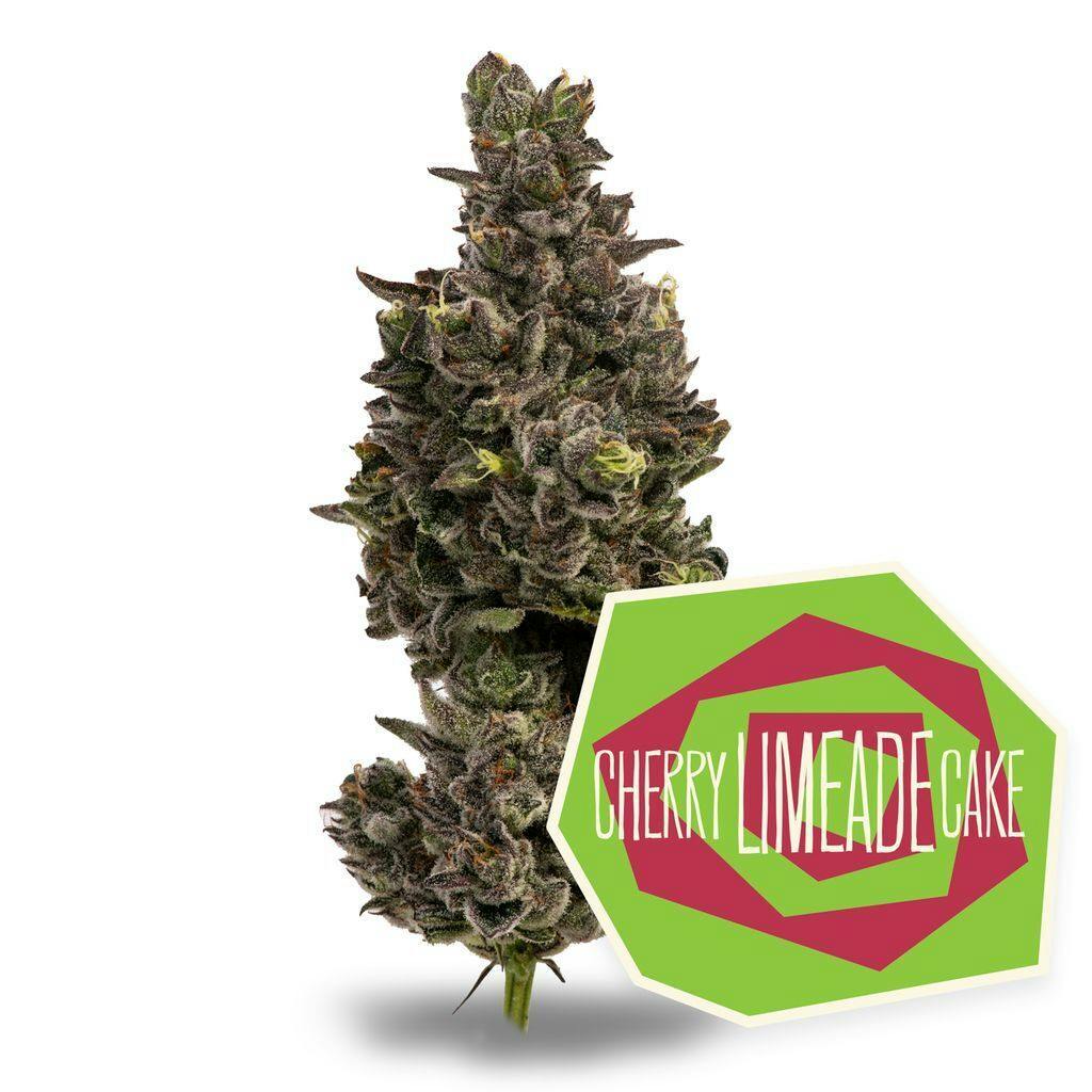 District Cannabis Cherry Limeade Cake Small Buds 14g