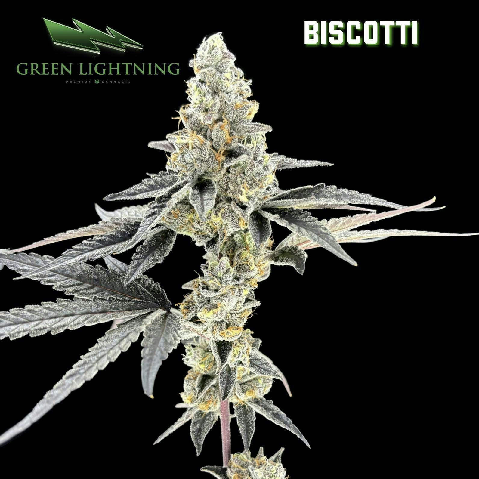 Biscotti | Smalls