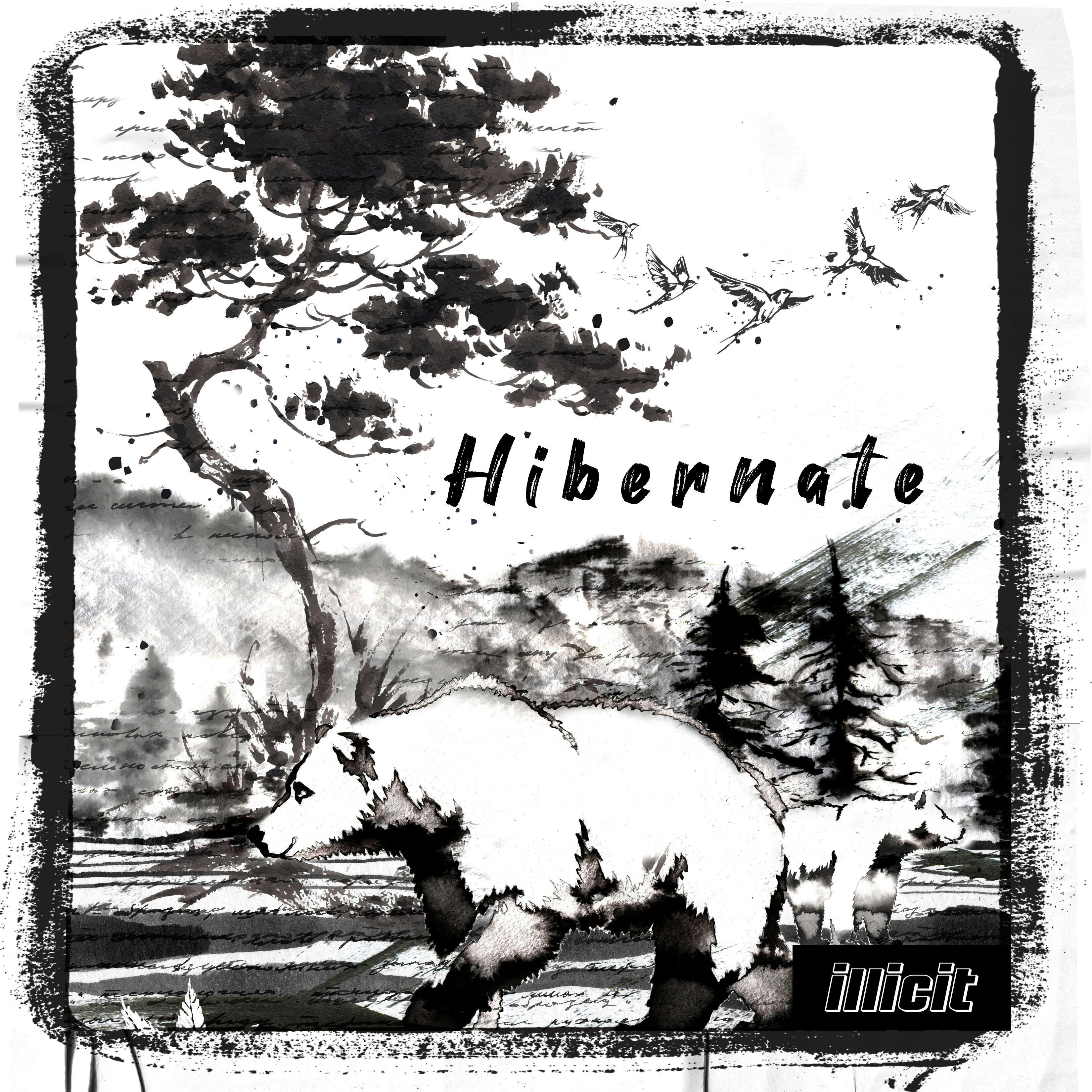Hibernate | 3.5g | Premium Flower