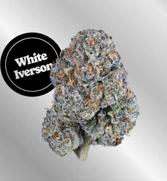 Kind Tree | White Iverson | Premium Buds