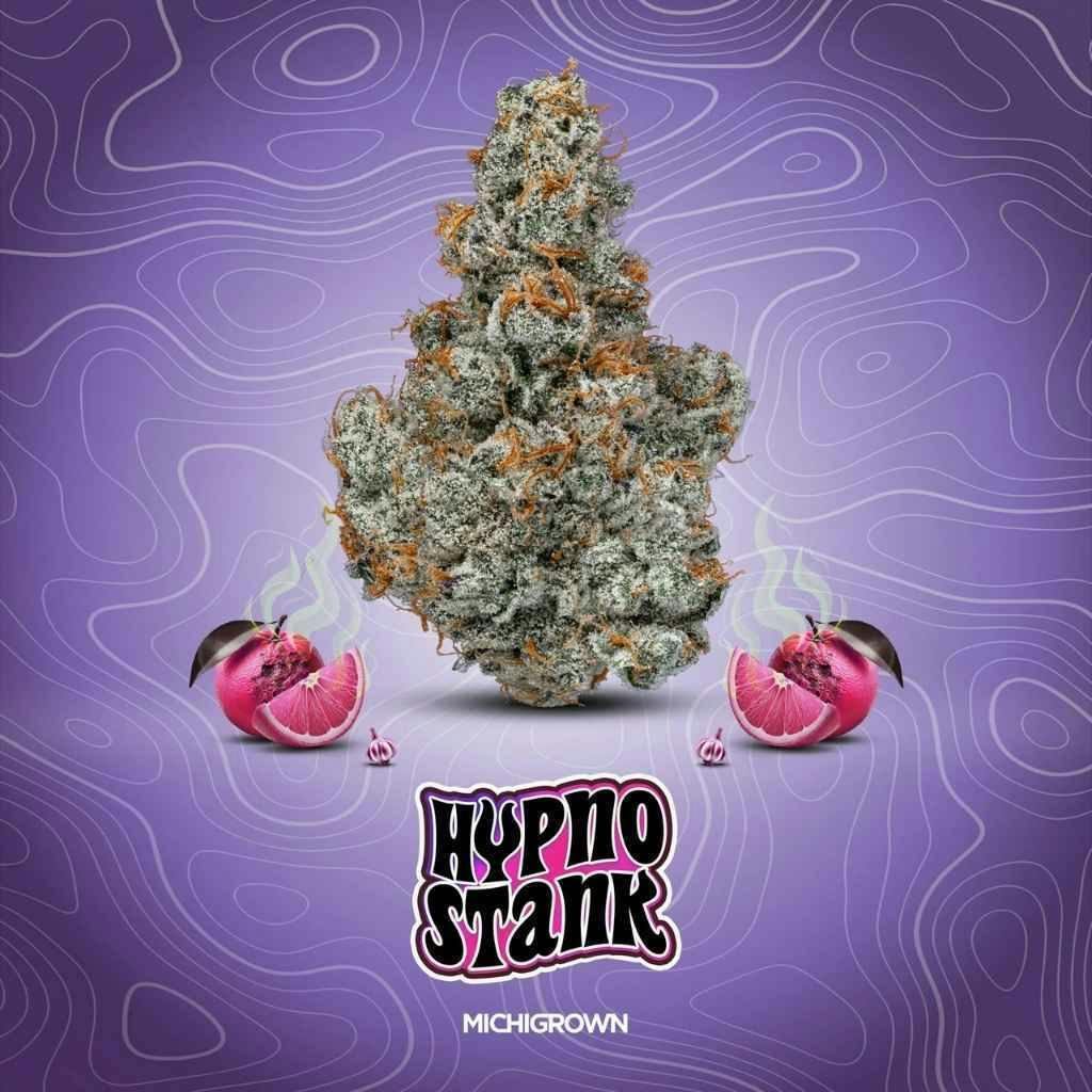 Michigrown Hypno Stank