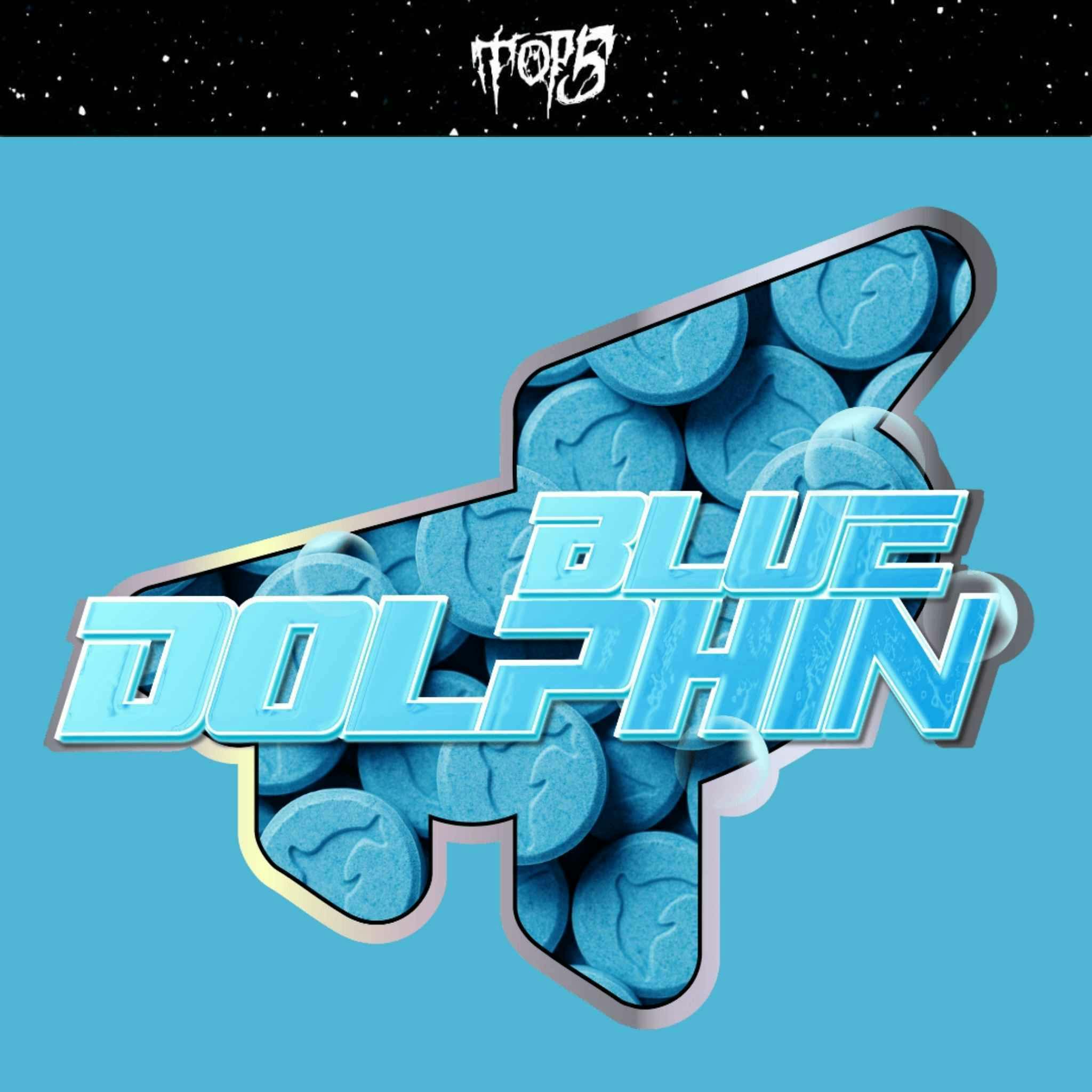 Top5 Blue Dolphin