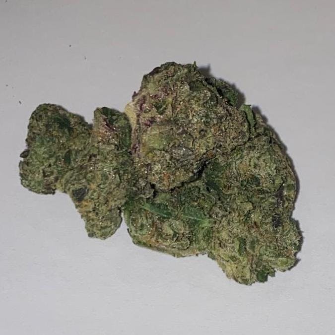 Monica Lewinsky (Indica) Platinum By ENDO