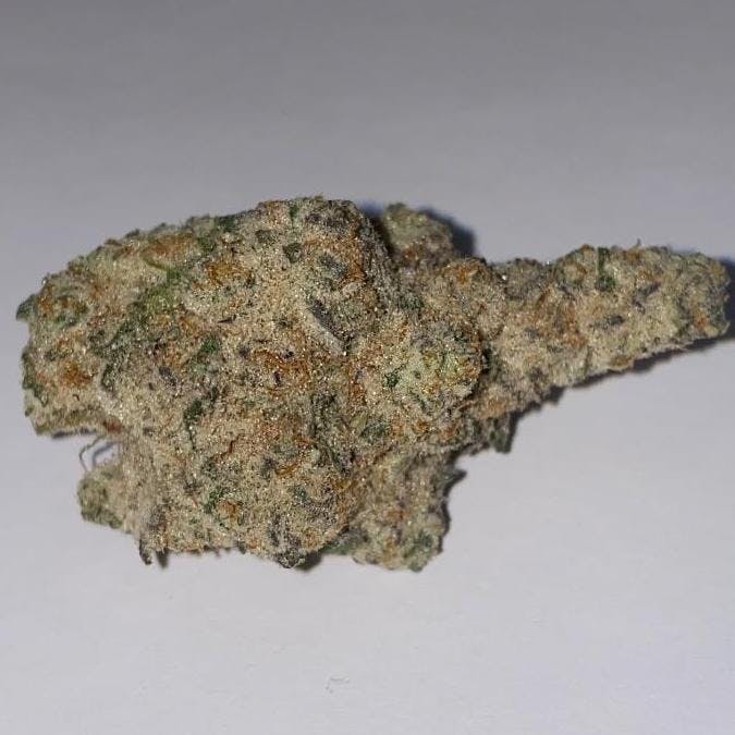 Dawg (Hybrid) Platinum By Freedom Green