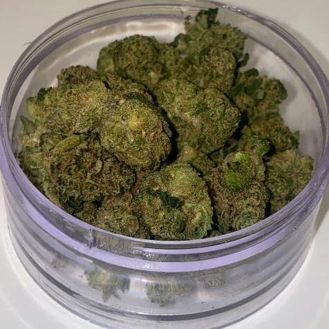 Category 5 (Sativa) | $80/oz Small buds | Grown Rogue at Stay Lifted