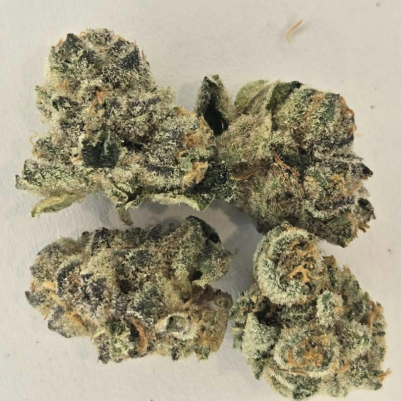 Biscotti Runtz (Sativa) | $80 Small Bud Oz | Freedom Green Farms at Stay Lifted