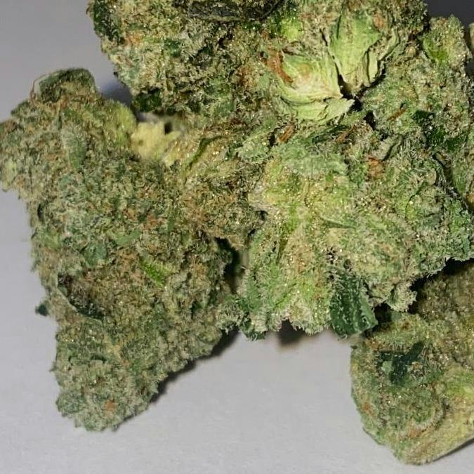 Supreme Diesel Platinum Shelf