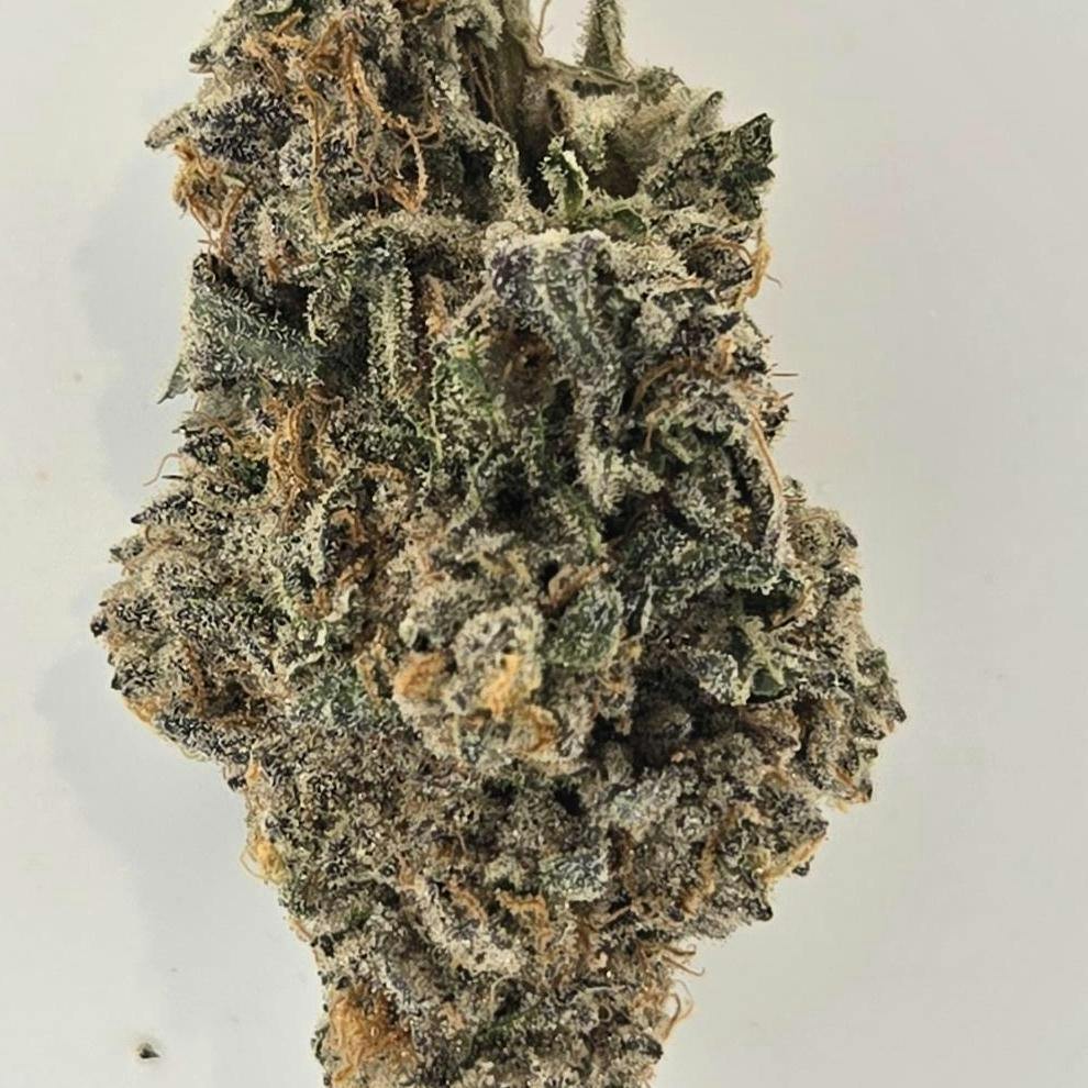 Nighty Night Platinum Shelf Freedom Green