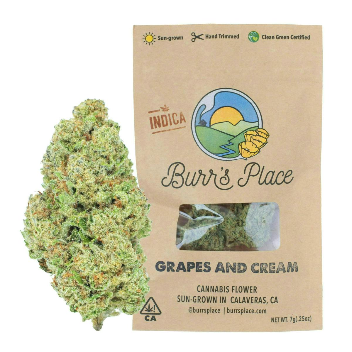 BURRS PLACE-GRAPES AND CREAM(PREGROUND FLOWER)-7G(P)