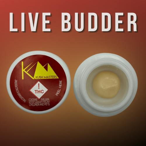 Kush Masters - Live Budder - 1 gram - - Apple Colada (H)