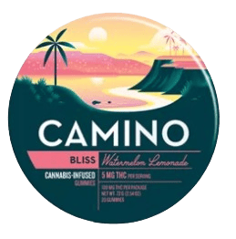 Camino Gummies 5mg - Bliss Watermelon Lemonade - 10ct