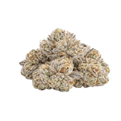 La Ceuga - 3.5g at Wildflower Cannabis