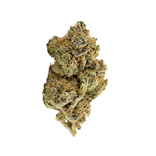 Blue Dream - 3.5g at Wildflower Cannabis
