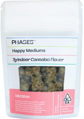 Hawaiian Headband [S] - 7G Flower