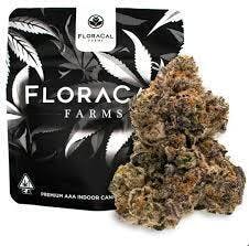 FLORACAL SMACK BURGER 3.5G