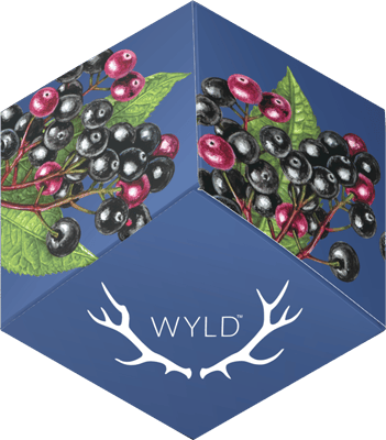 WYLD Elderberry 2:1: WYLD ELDERBERRY 2:1 THC:CBN