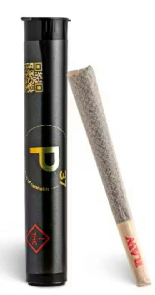 DGG [1g]