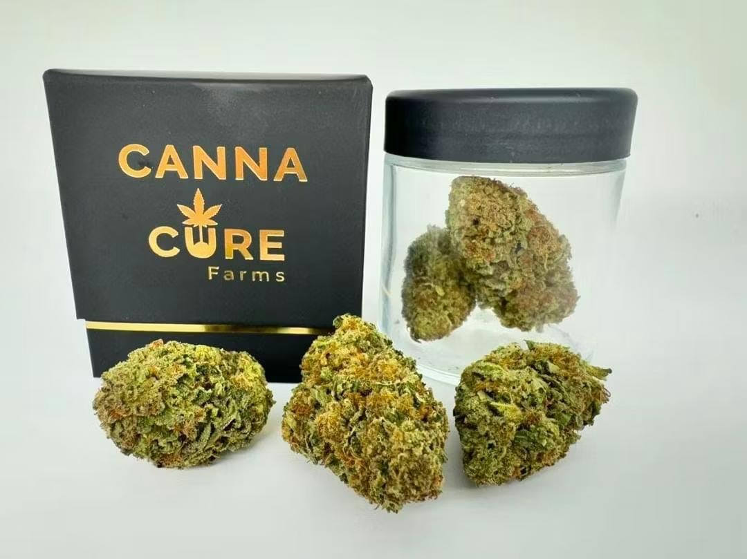 Canna Cure | Bee Jelly | 3.5g