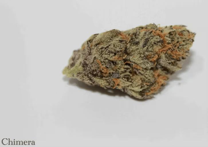 Roemer Farms | Chimera | 3.5g (Microgrow) cannabis product