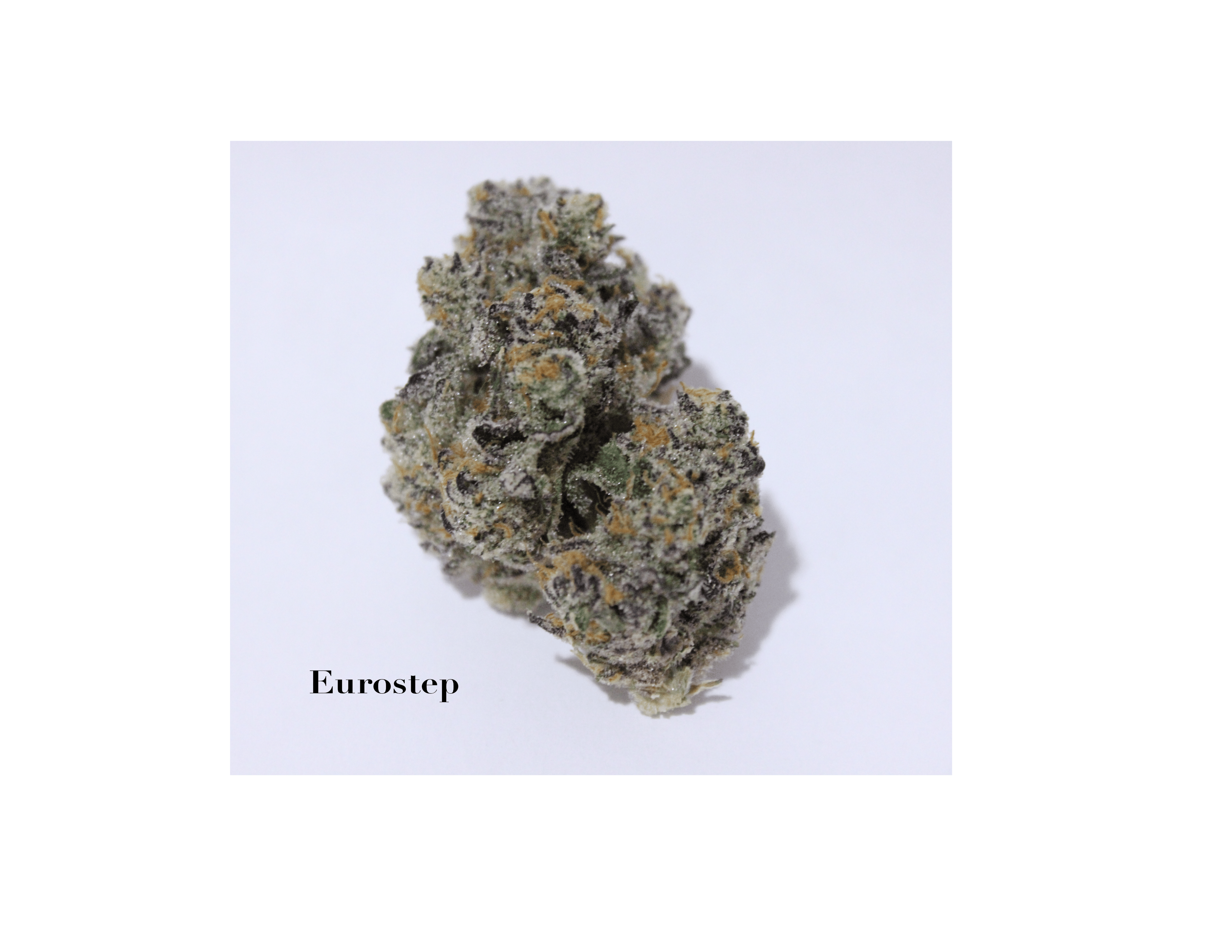 Roemer Eurostep Microgrow