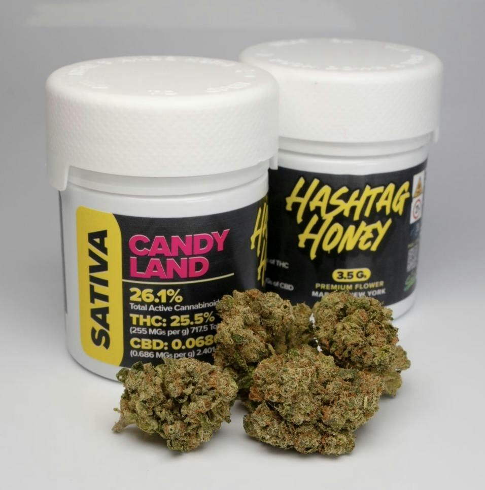 Hashtag Honey | Candyland | 3.5g