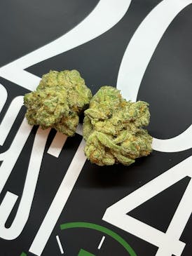 Redbud Roots | Motor Milk | Flower - Hybrid/Indica