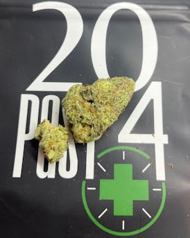 Fluresh | Carbon | Frozen Peaches | Bulk Flower