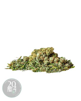 20Past4 | White Super Skunk | Jar Bottom
