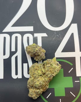 Amber Waves | Mango Wave | Bulk Flower