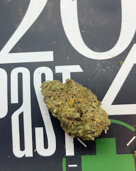 Amber Waves | Blueberry Hill | Bulk Flower