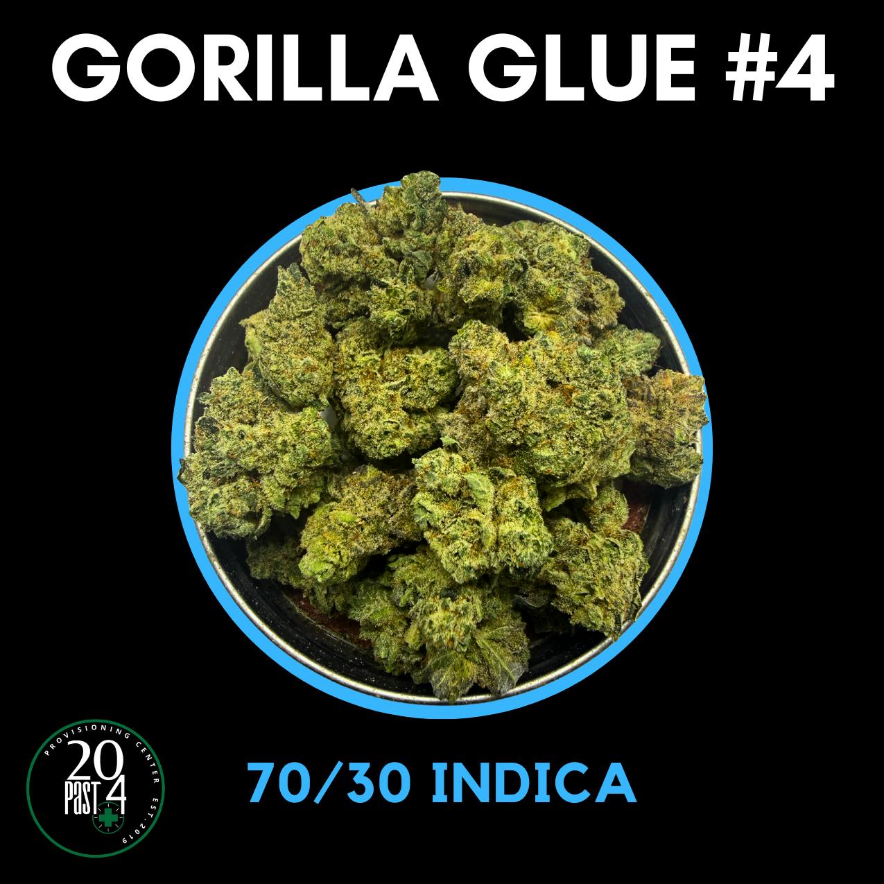 HARBOR FARMZ | GORILLA GLUE #4 | DELI FLOWER - INDICA